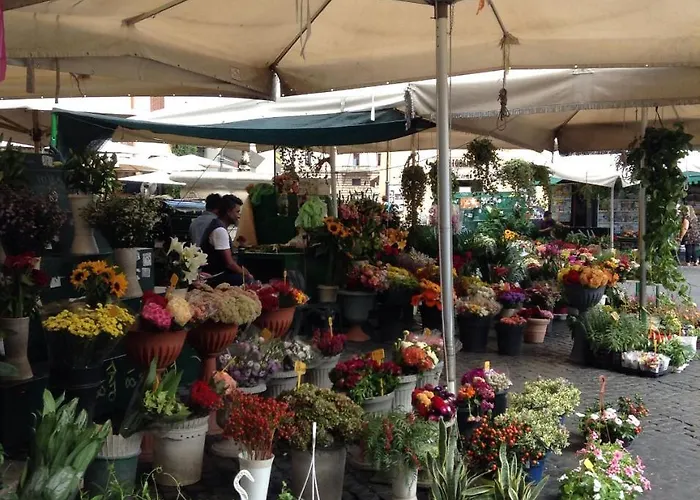 In Piazza 4*